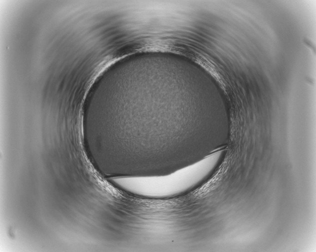 X0000093400984200711020932