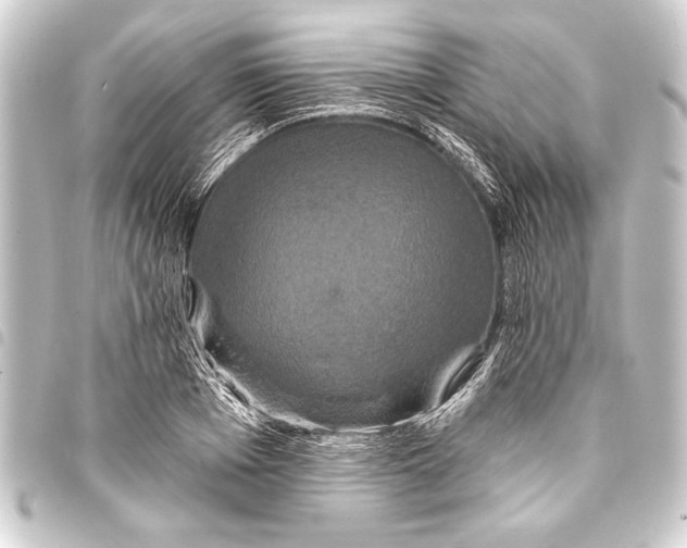 X0000093400985200711020932