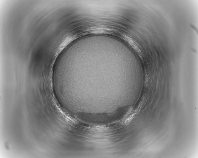 X0000093400986200711020932