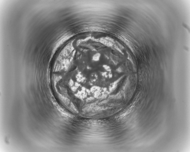 X0000093400987200711020932