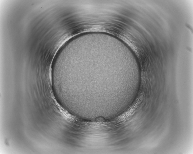 X0000093400988200711020932