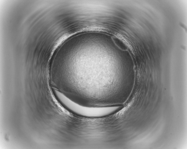 X0000093400989200711020932