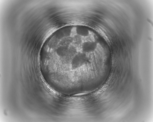 X0000093400990200711020932