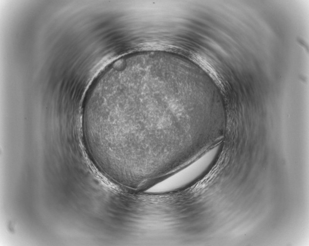 X0000093400992200711020932