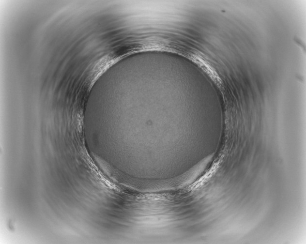 X0000093400993200711020932