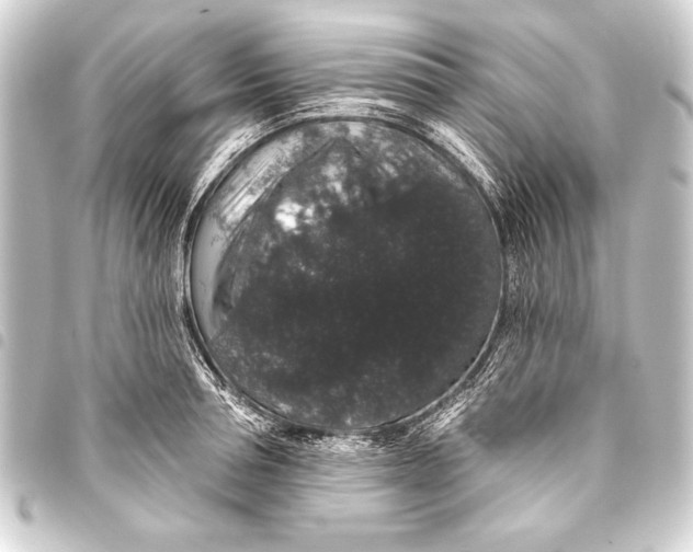 X0000093400994200711020932