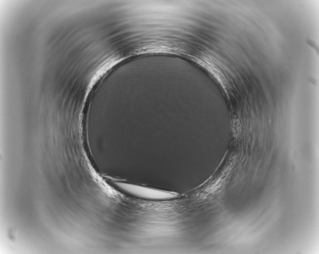 X0000093400995200711020932