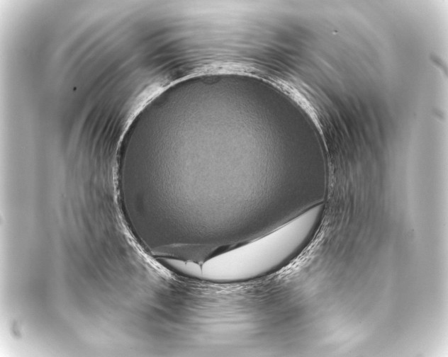 X0000093400997200711020932