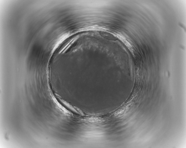 X0000093400998200711020932