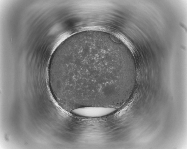 X0000093400999200711020932