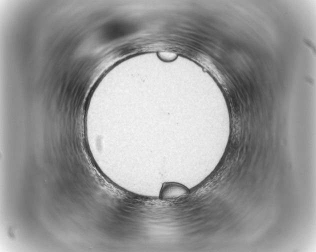 X0000093401000200711020932