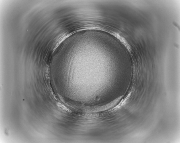 X0000093401001200711020932