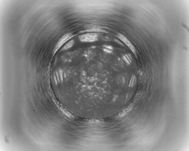 X0000093401002200711020932