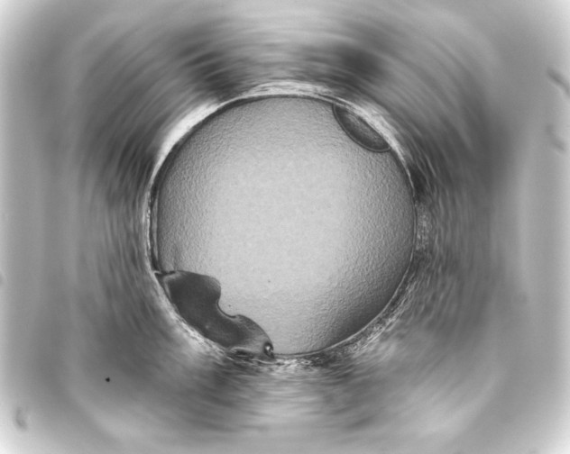 X0000093401003200711020932