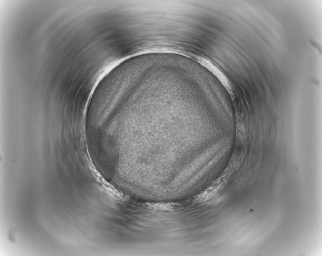 X0000093401004200711020932