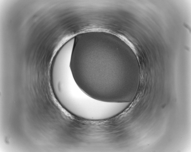 X0000093401005200711020932