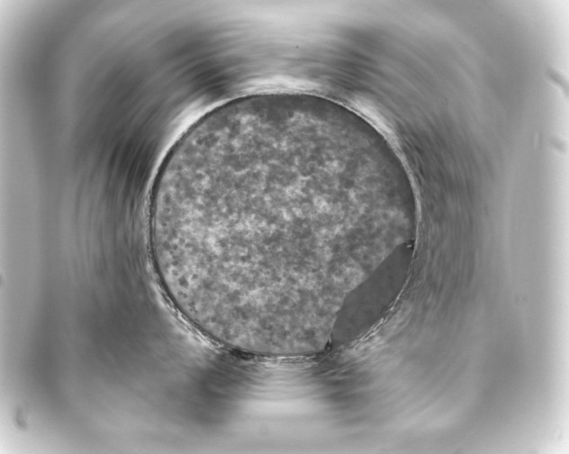 X0000093401008200711020932