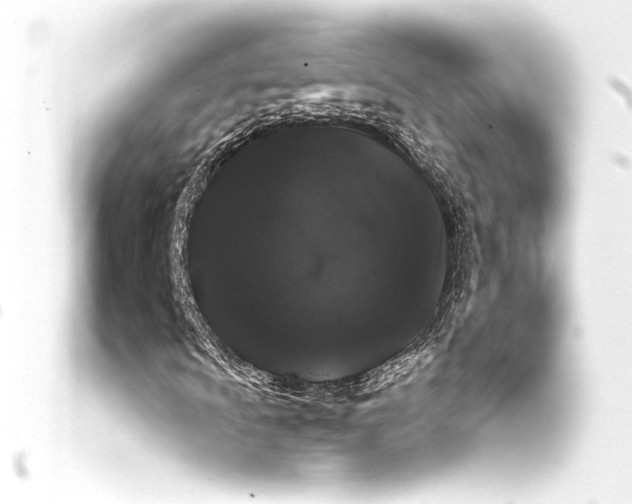 X0000093401009200711020931