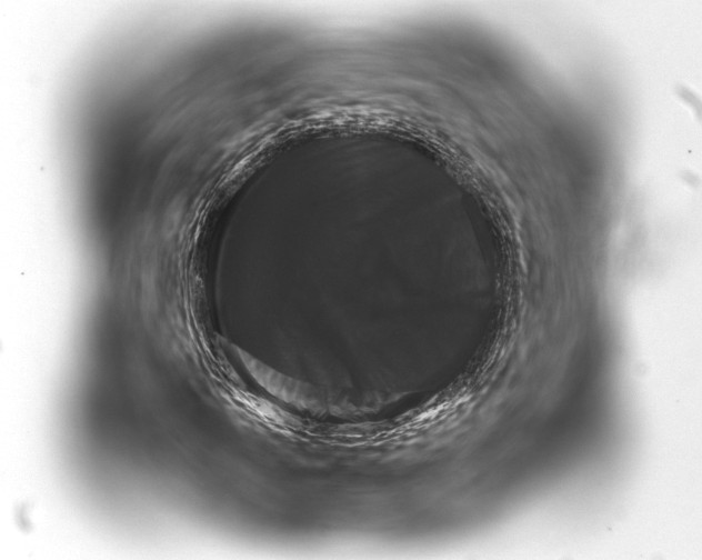 X0000093401010200711020931