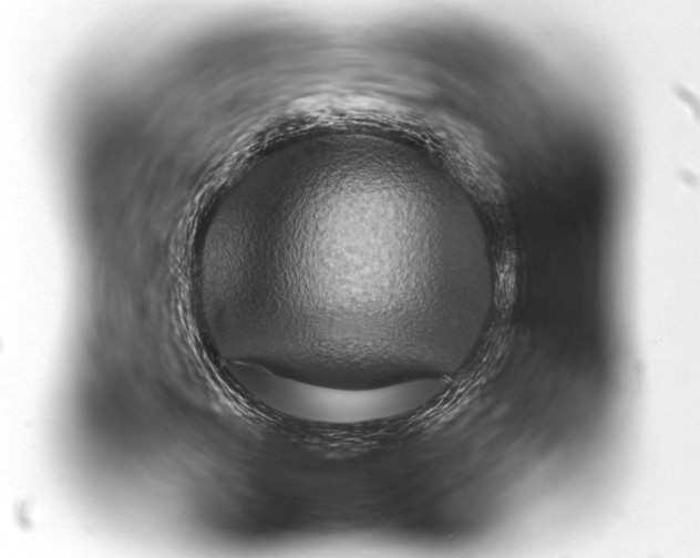 X0000093401012200711020931