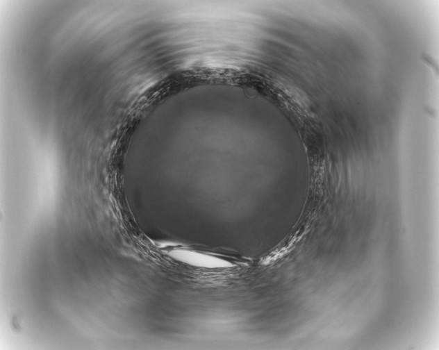 X0000093401013200711020931