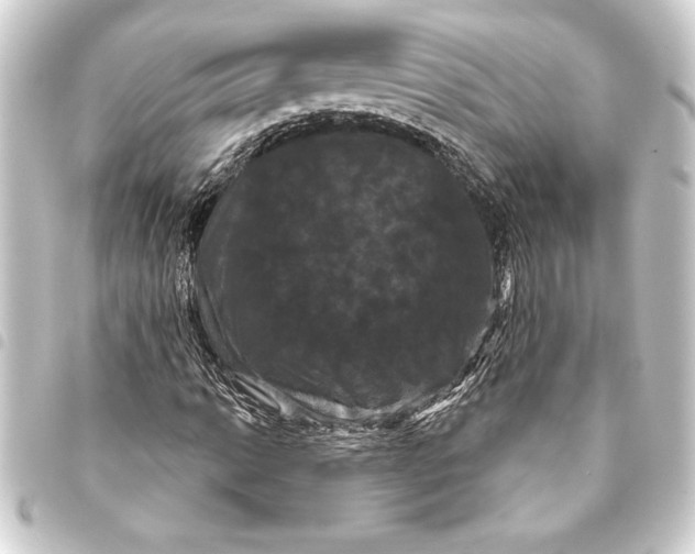 X0000093401014200711020931