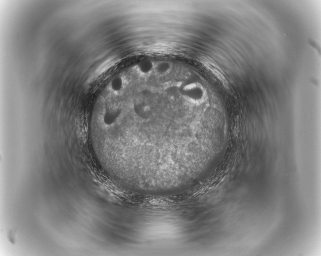 X0000093401015200711020931