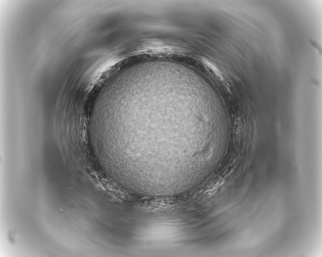 X0000093401016200711020931