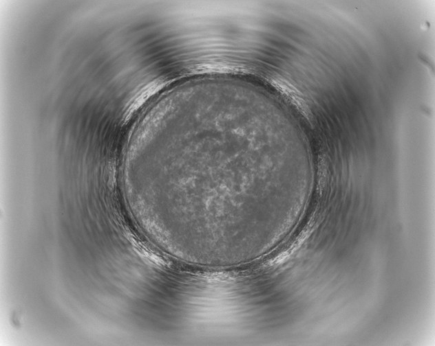 X0000093401017200711020931