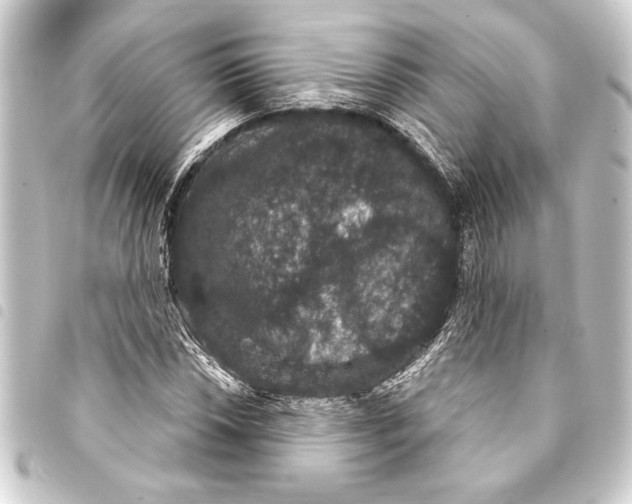 X0000093401018200711020931