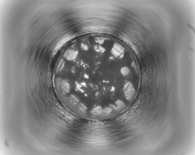 X0000093401019200711020931