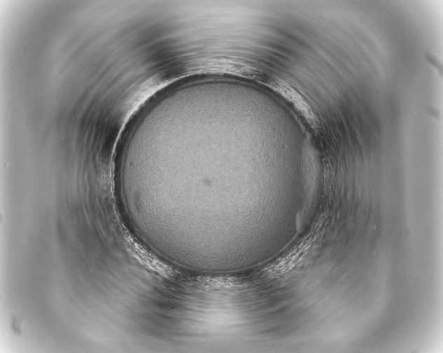 X0000093401020200711020931