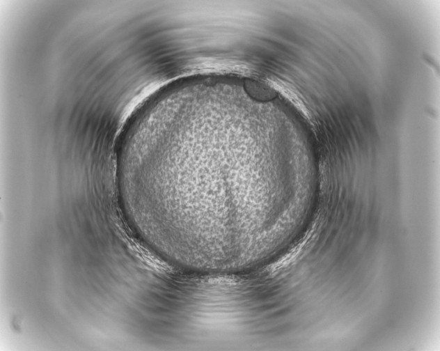 X0000093401021200711020931