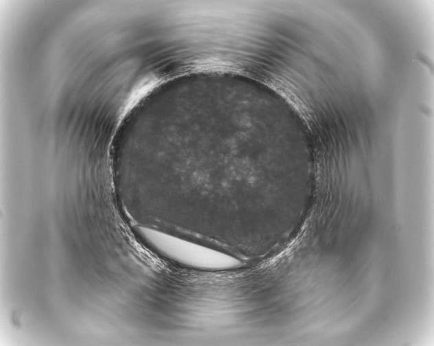 X0000093401022200711020931