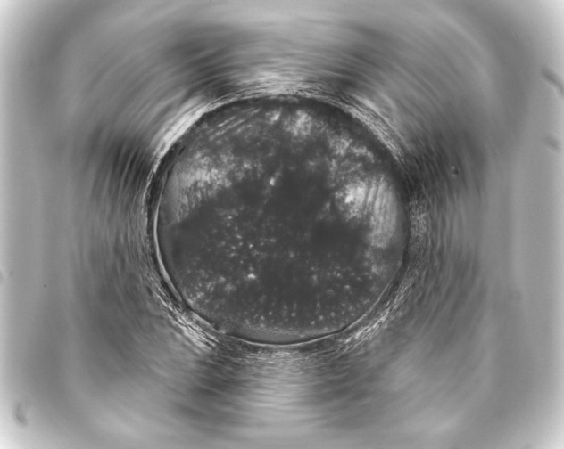 X0000093401023200711020931