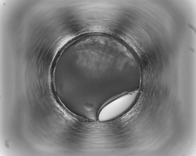 X0000093401024200711020931