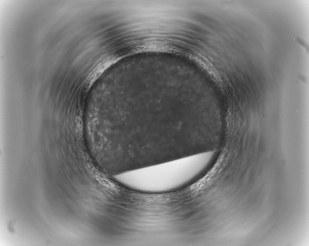 X0000093401025200711020931