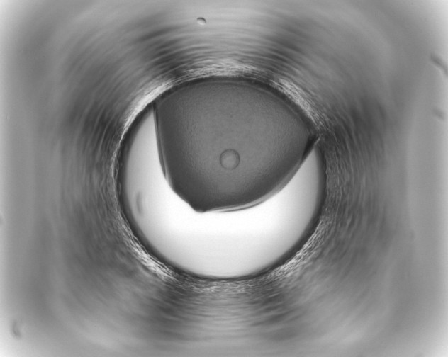 X0000093401026200711020931