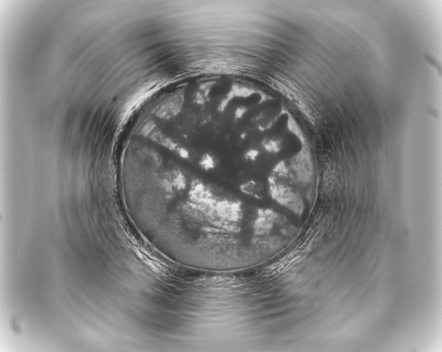 X0000093401027200711020931