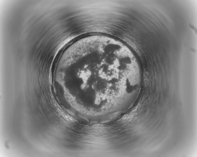 X0000093401028200711020931