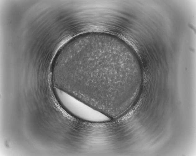 X0000093401029200711020931