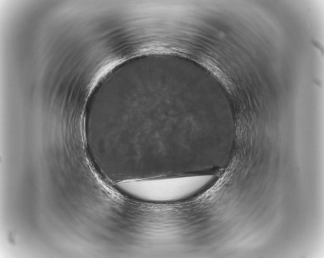 X0000093401030200711020931