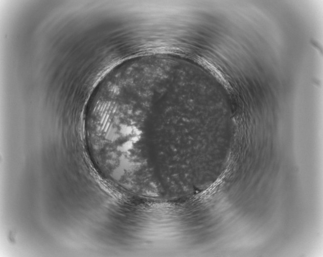 X0000093401031200711020931