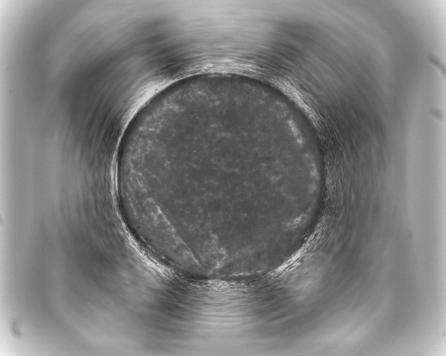 X0000093401032200711020931