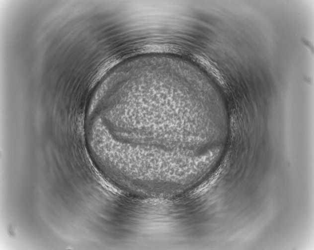 X0000093401033200711020931