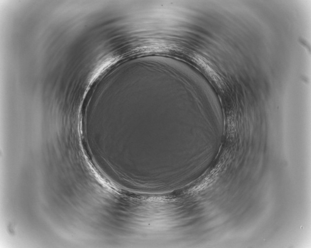 X0000093401034200711020931