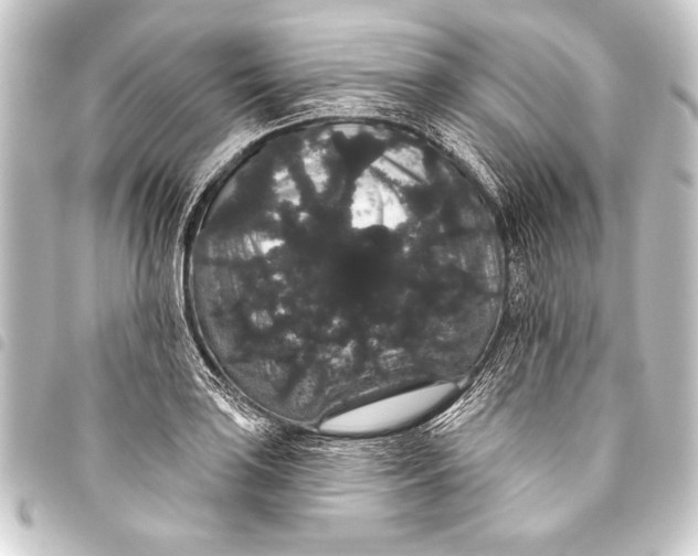 X0000093401035200711020931