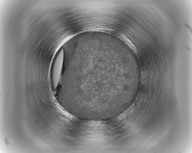 X0000093401036200711020931