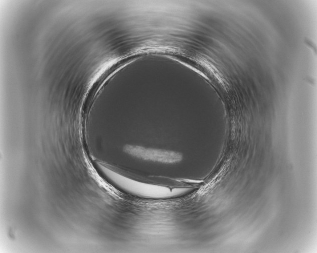 X0000093401038200711020931