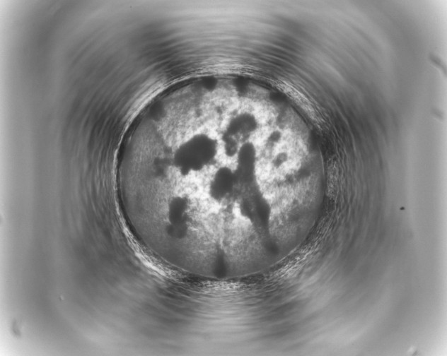 X0000093401039200711020931